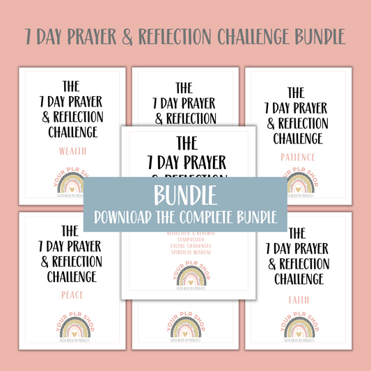 7 Day PLR Prayer  and Reflection Challenge BUNDLE