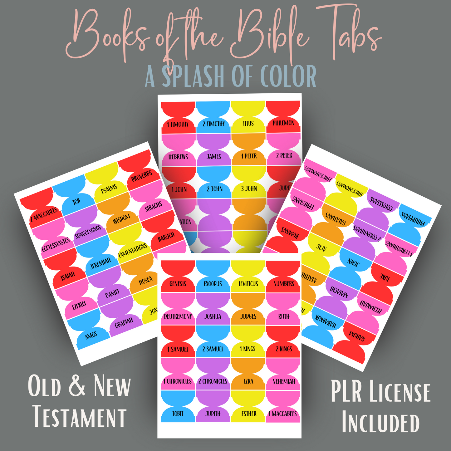 Vibrant Rainbow Bible Book Tabs