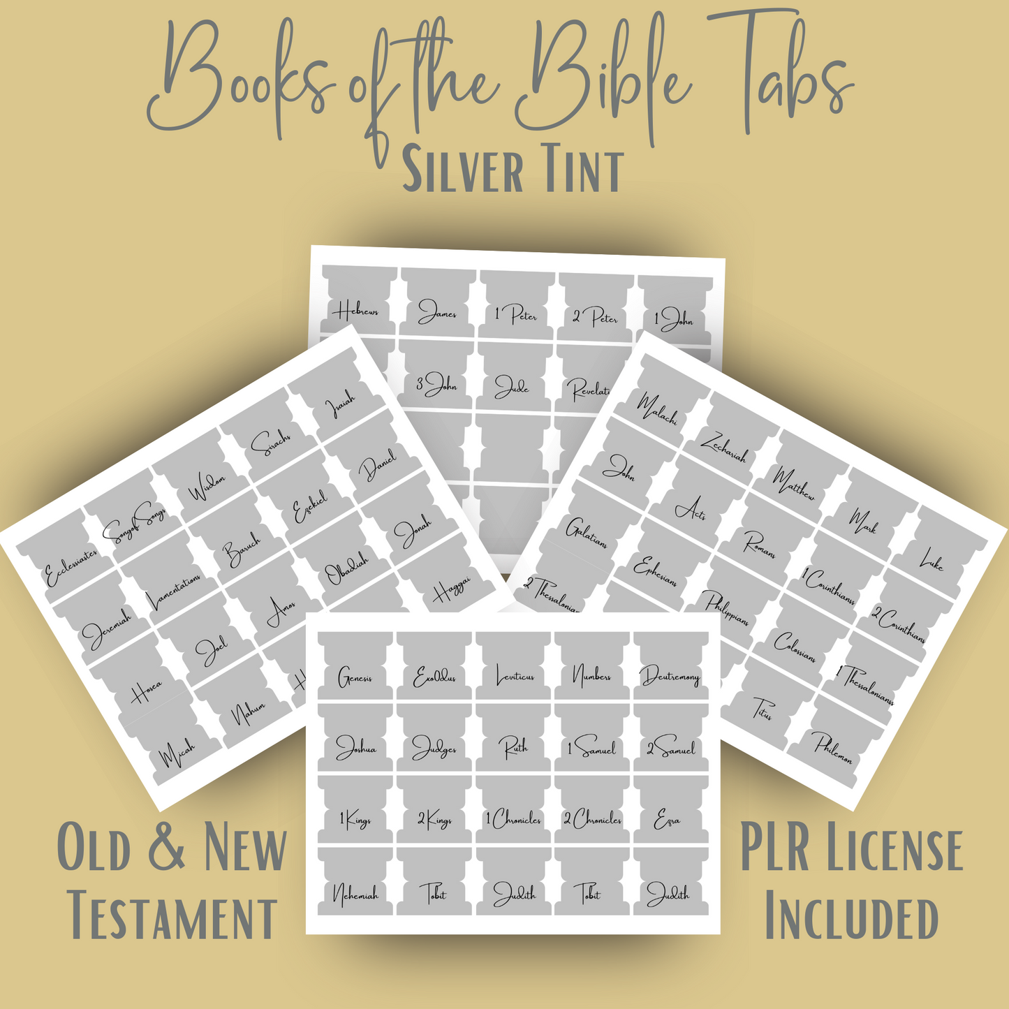 Stunning Silver Tint Bible Book Tabs